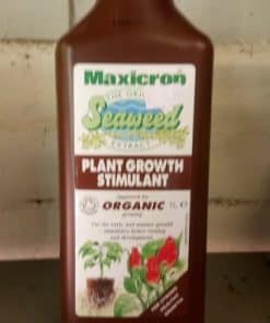 Plant food - seaweed feed - 1 litre