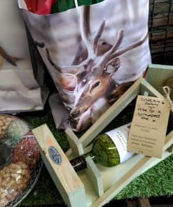Wine Bottle Bird Feeder
