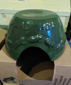 Frog and Toad House