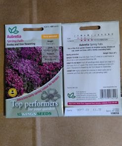 Aubretia Spring Falls seeds
