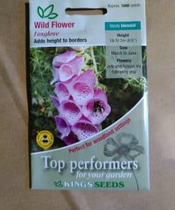 Wildflower Foxglove seeds