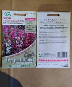 Clarkia Elegans Double Delight seeds