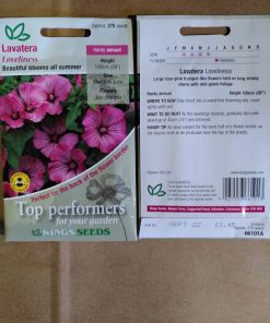 Lavatera Loveliness seeds