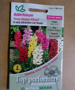 Antirrhinum Snap Happy Mixed seeds