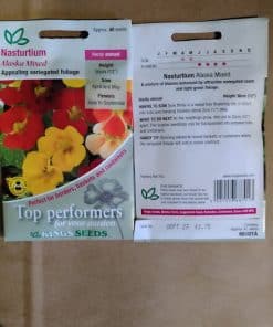 Nasturtium Alaska Mixed seeds