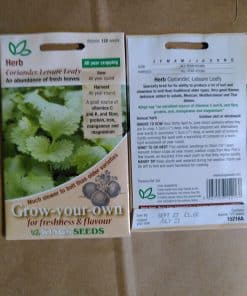 Coriander Leisure Leafy seeds