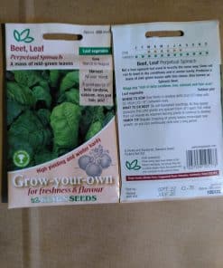 Beet Leaf Perpetual Spinach seeds