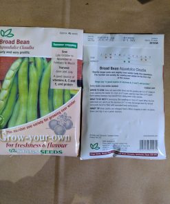 Broad Bean Aquadulce Claudia seeds