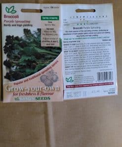 Broccolli Purple Sprouting seeds