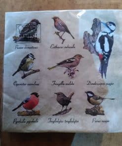 Napkins - birds