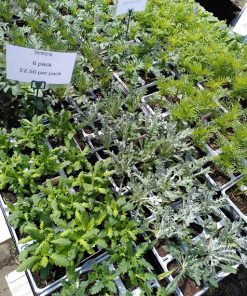Summer Bedding Packs