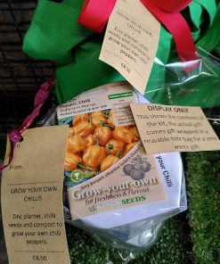 Growing Kit - chilli